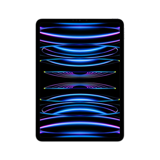 2022 11-inch iPad Pro Wi-Fi 1TB - Silver (4th generation)