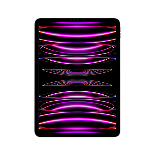 2022 11-inch iPad Pro Wi-Fi 2TB - Space Gray (4th generation)