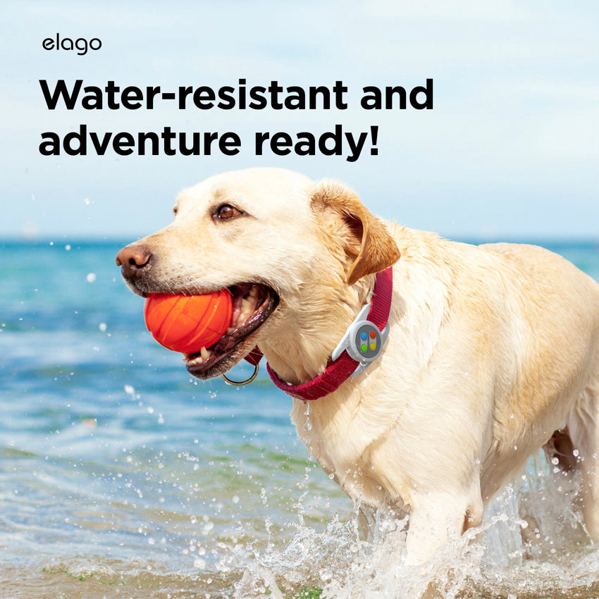 Airtag Case Elago W5 Pet Collar - Light Grey