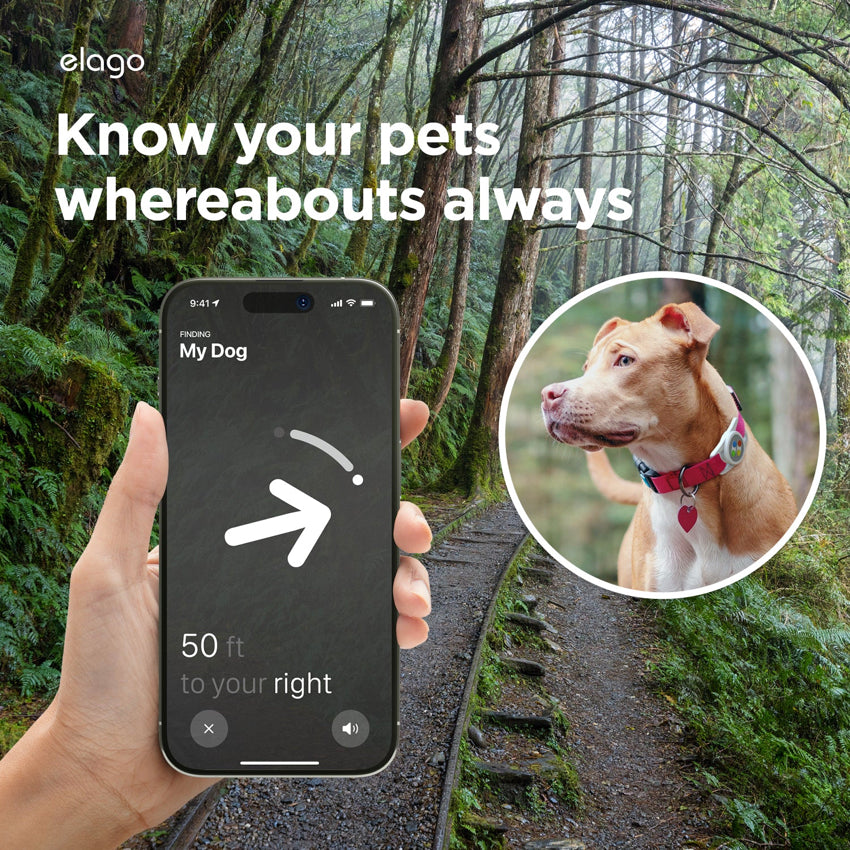 Airtag Case Elago W5 Pet Collar - Light Grey