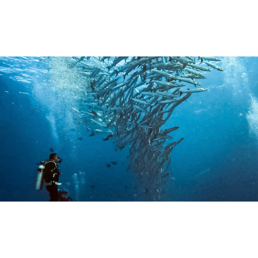 เคสกันนํ้า GoPro Protective Housing (Hero 9 - 13)