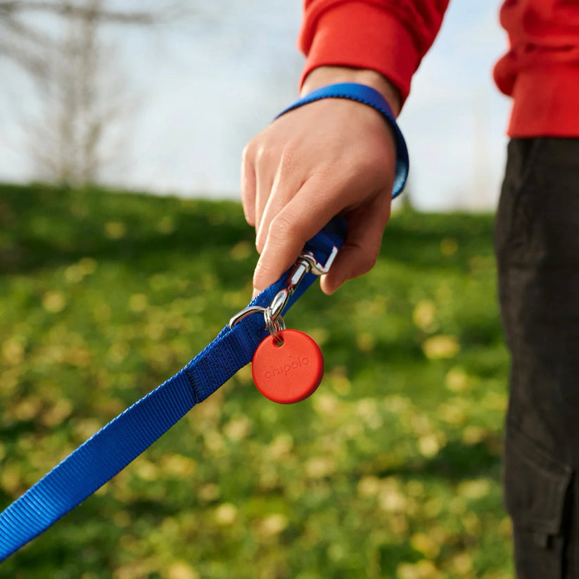 Chipolo Pop Red ดีไซน์กะทัดรัด สีแดงสดใส ค้นหาของหายได้รวดเร็วผ่านสมาร์ทโฟน